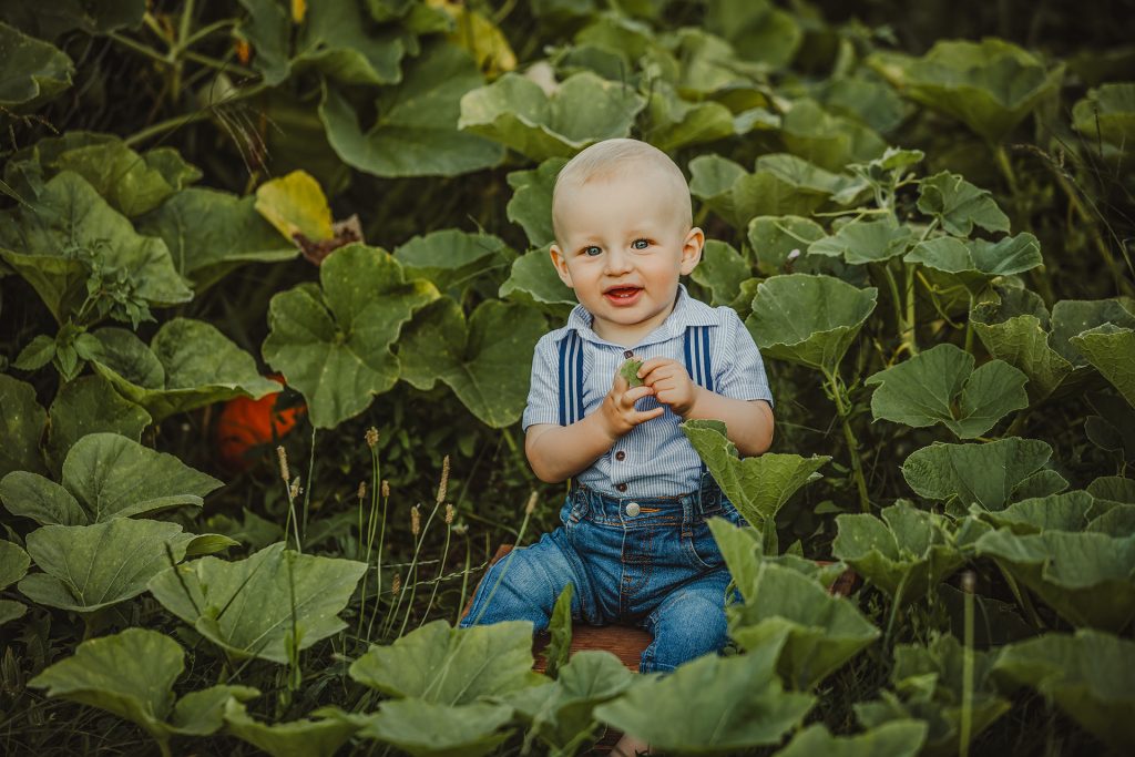 Babyshooting Newbornshooting Urfahr Umgebung Linz Perg Freistadt Babyfotografin Neugeborenenfotografin Schwangerschaft Geburt Babybauch