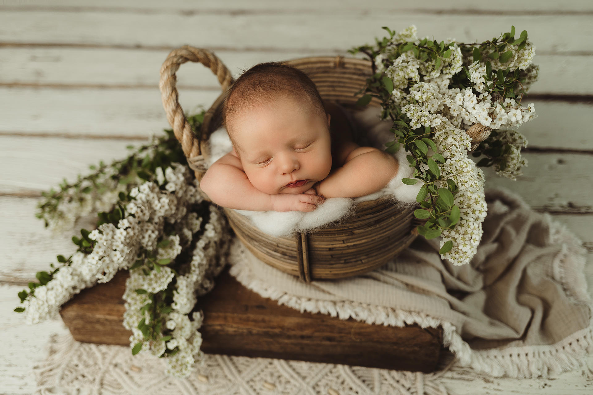 Babyshooting Schwangerschaft Babybauch Shooting Fotograf Linz Urfahr Freistadt Perg Rohrbach OÖ 18. SSW 19. SSW